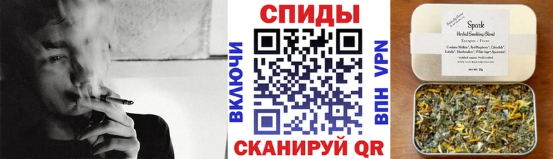 Купить где  Белая Холуница  Бутират 99% 