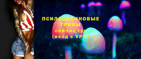 прущая мука Кодинск