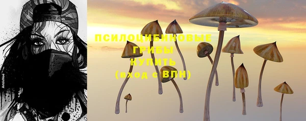 кристаллы Козловка