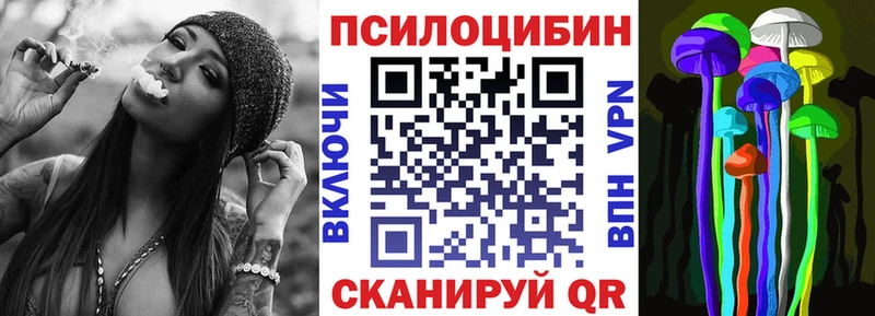 Псилоцибиновые грибы Psilocybe  Купить где  Белая Холуница 
